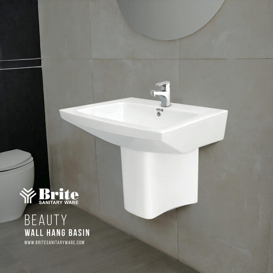 Beauty One Piece Wall Hang Basin by Master Sanitary Ware SANITARYHOMESUPPLIER