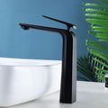 Matte Black & Chrome Basin Mixer